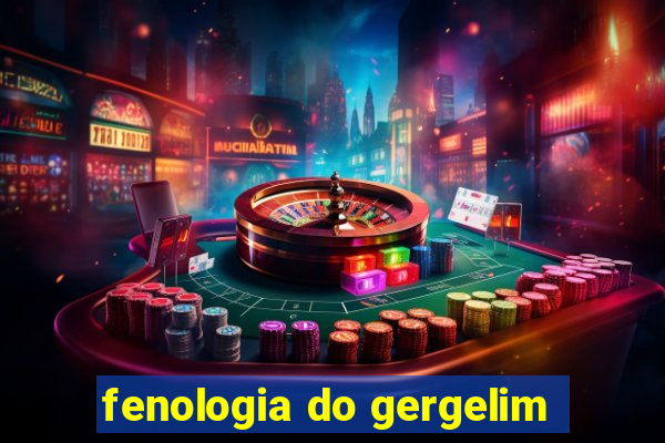 fenologia do gergelim